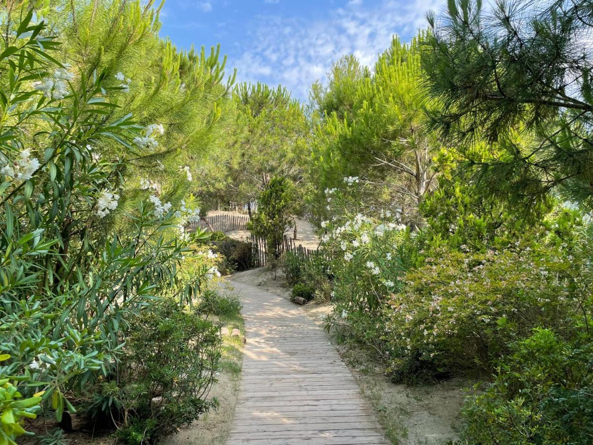 Hôtel Plage Palace&Spa Palavas-les-Flots Exterior foto The path leading to the cave